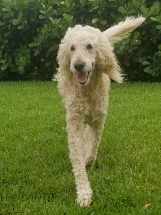 Mr. September “Charlie”