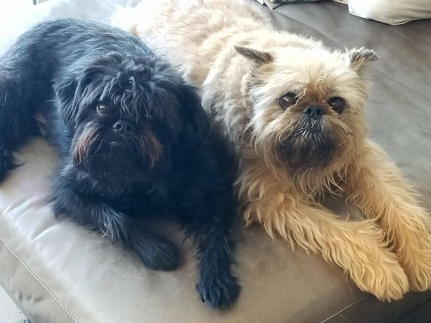 George and Travis