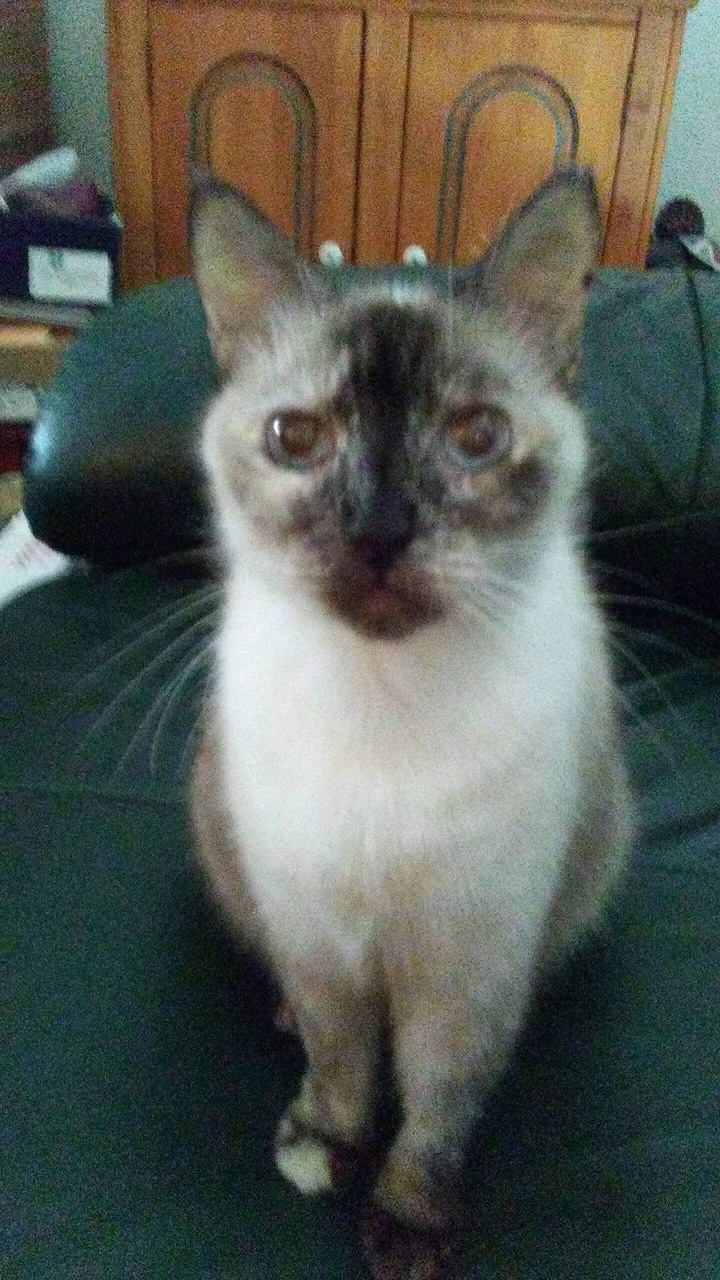 Miss August “Munkee”