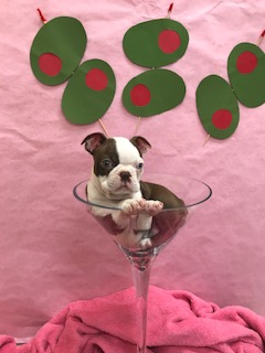 Olive Miss February