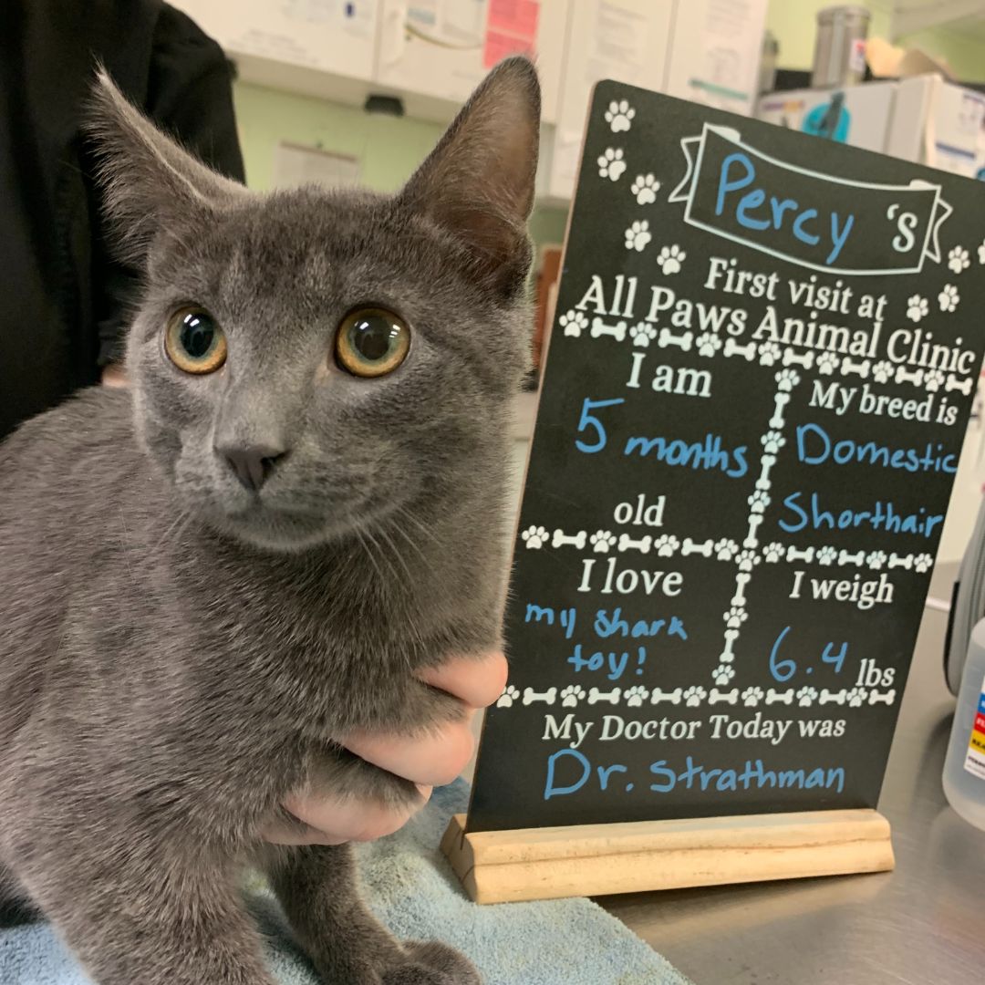 Percy